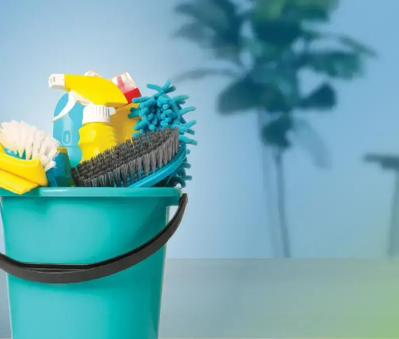 فن ترتيب المنزل وتنظيفه